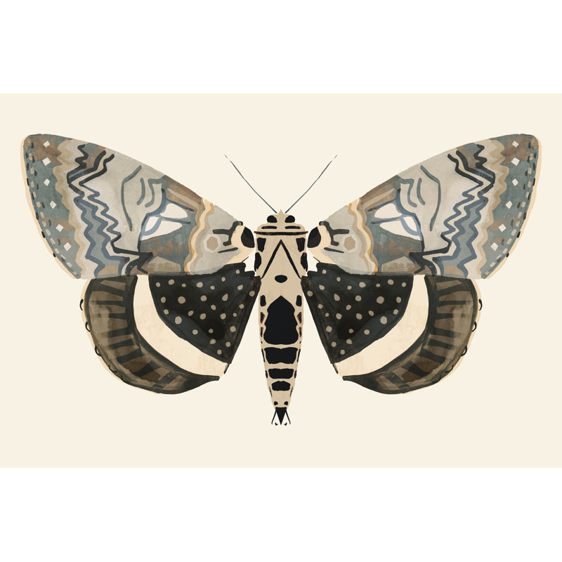 Neutre Moth I par Victoria Barnes - peinture sur toile tendue, H 8 po x l 12 po
