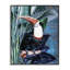 Toucan souriant sur une branche, estampe numérique par Karen Smith-108619279-108619282