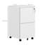  Steel File Cabinet with Hanging Bar for Letter A4 Legal Size Black-1282501619