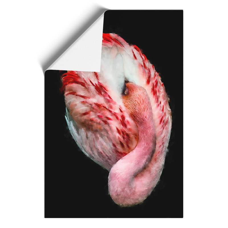 Curled Flamingo - No Frame Print, 59cm H x 42cm W x 0.1cm D