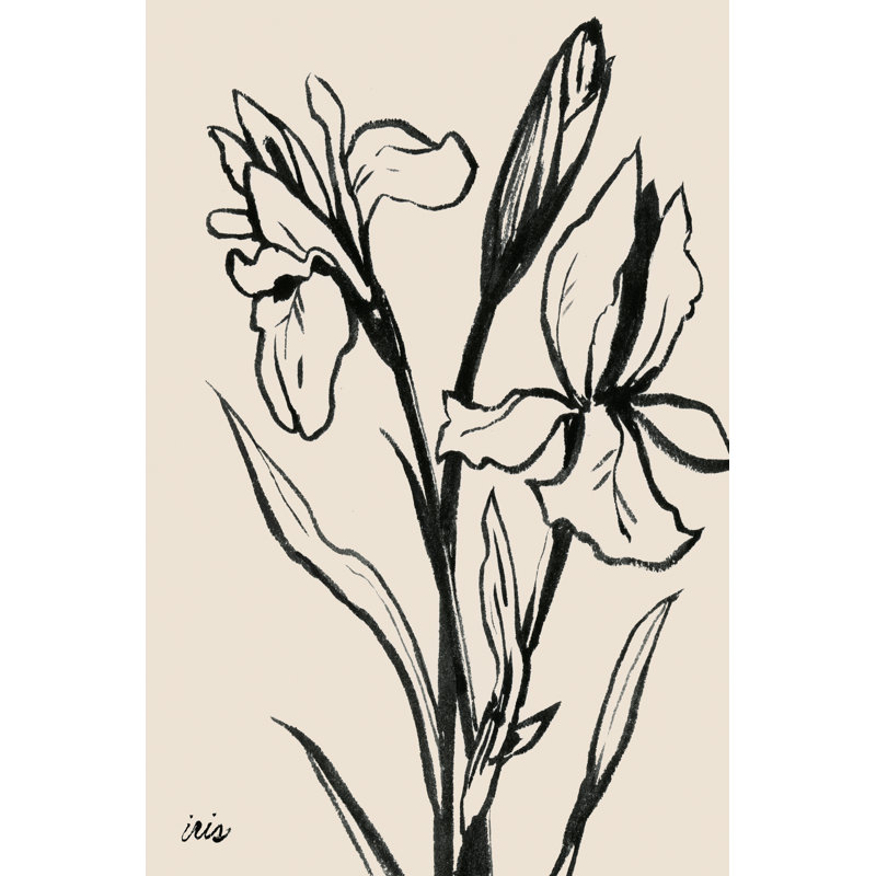 «Iris Sketch IV» par Grace Popp - peinture sur toile tendue, H 18 po x l 12 po