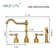 Akicon Kitchen Faucet with Side Spray