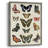 Flutterbys I Framed Print - Solid Wood-594132843