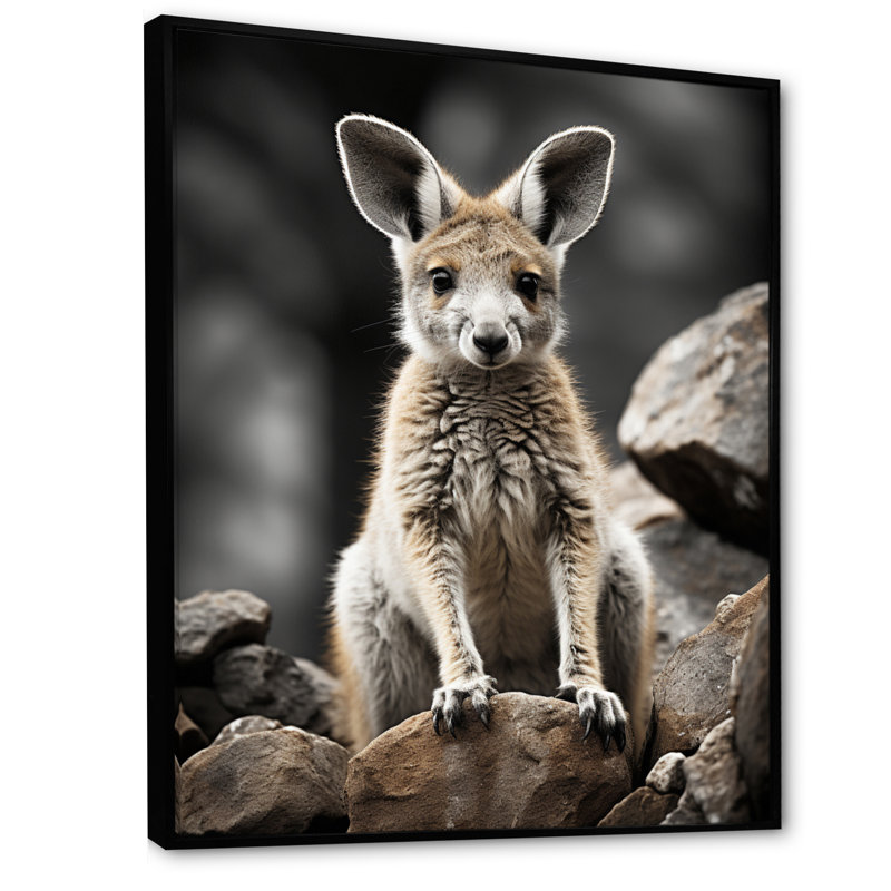Décoration murale kangourou lié - animaux, H 40 po x l 30 po x P 1,5 po, Cadre flottant noir