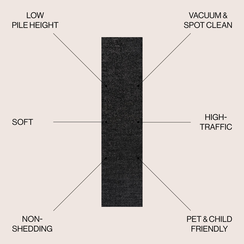 Tapis noir Asaldis, Tapis de couloir 2 pi x 12 pi