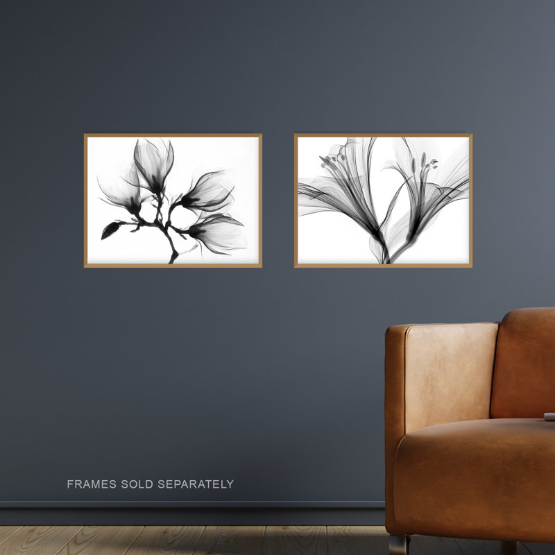 Flower X-Ray's Lily And Magnolia Black White 2-Piece Set Unframed Wall Art Prints Office Study Aesthetic Photograph