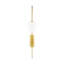Noemie 1 - Light Armed Sconce