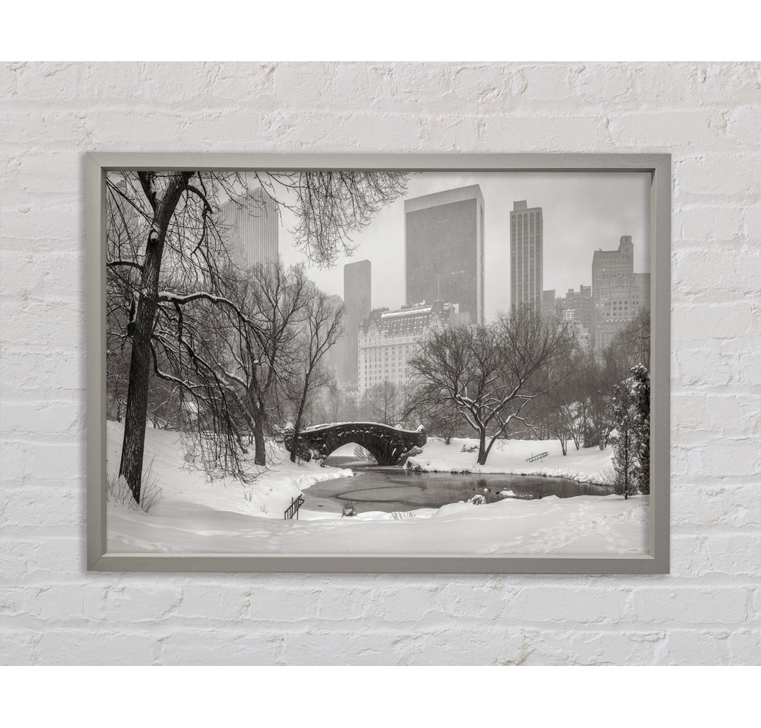 Winter Snow In Central Park - Einzelbildrahmen Kunstdrucke auf Leinwand