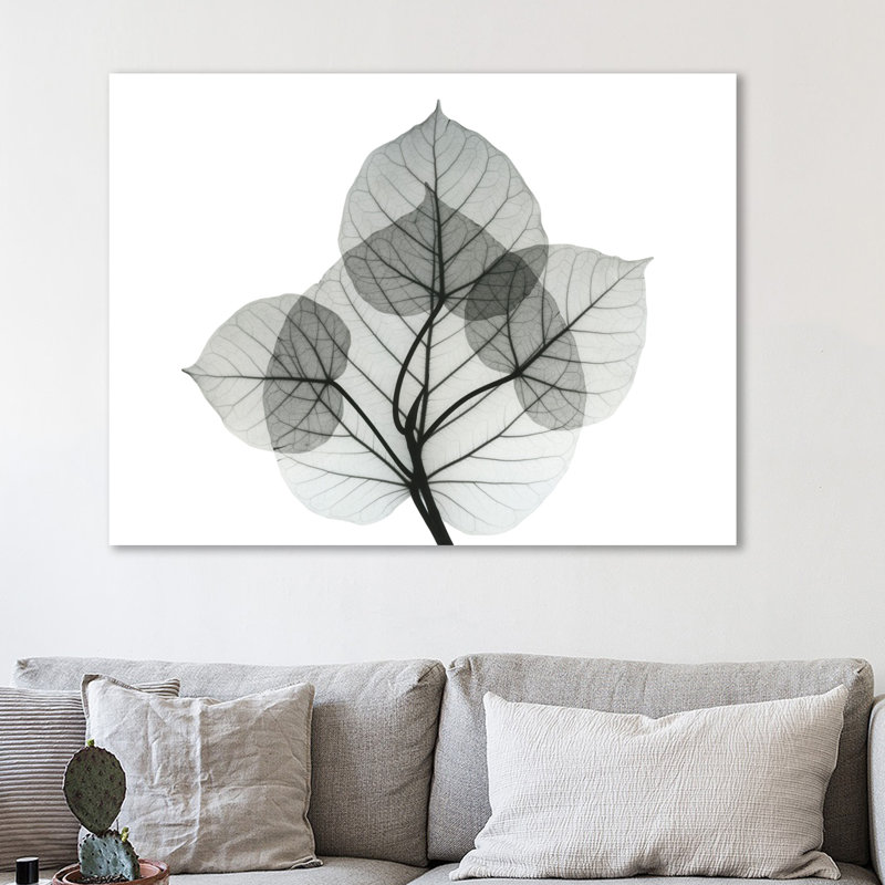 « bo leaves i », reproduction d’impression sur toile tendue, H 12 po x l 16 po