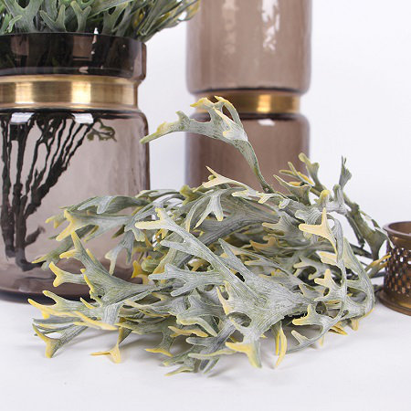 Glossogyne Arrangement, Green/Yellow
