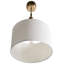 Russo 1 - Light Brass Novelty Pendant