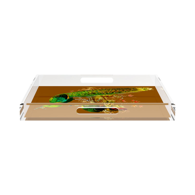 Family Pheasants Acrylic Square Decorative Tray, Brown, 18"W x 18"D x 2"H