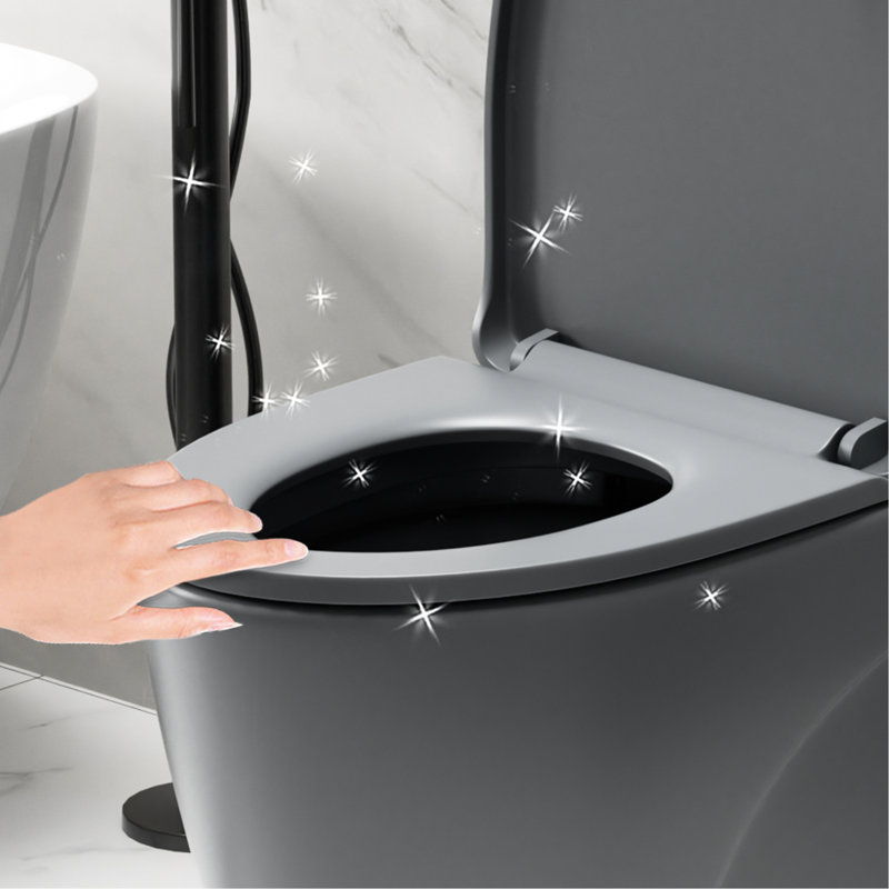One Toilet With Dual Flush 001. 1.1/1.6 , Soft Close Seat. Water, Elongated Bowl. Height, Grey Ceramic Bathroom Regularization 001 Toilet. Flush, Height. For Systematization