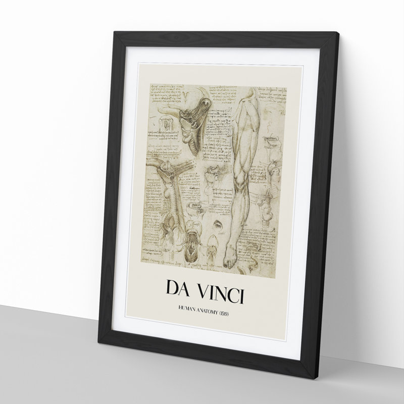 Human Anatomy Vol.7 by Leonardo Da Vinci - Picture Frame Drawing, Black Framed, 36cm H x 27cm W x 2cm D