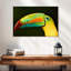 Bec long Brampt Toucan-108706814