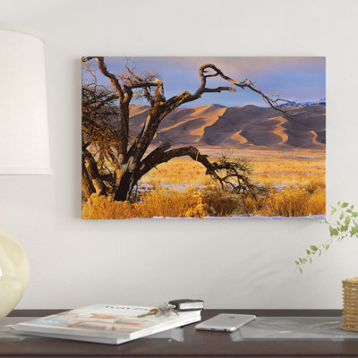 " Grasslands And Dunes, Great Sand Dunes National Monument, Colorado " by Tim Fitzharris