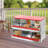 Fusae Chicken Coop with Nesting Box For Up To 6 Chickens