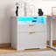 73cm Wide 2 -Drawer File Cabinet-2021688806