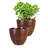 Caylin Ceramic Pot Planter with Saucer
