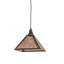 Rustic Lodge 1 - Light Pendant