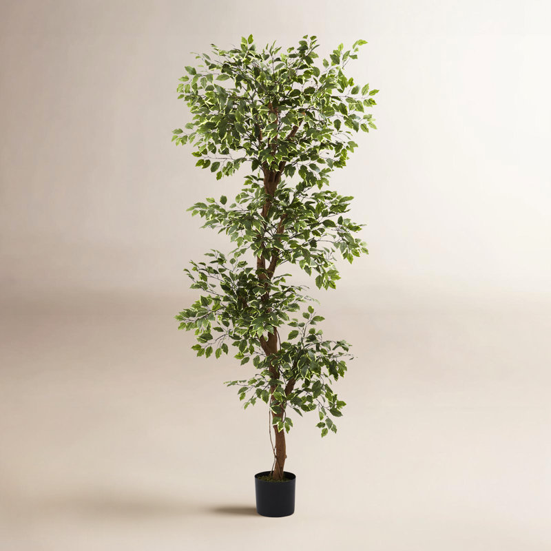 66'' Faux Ficus Tree in Pot