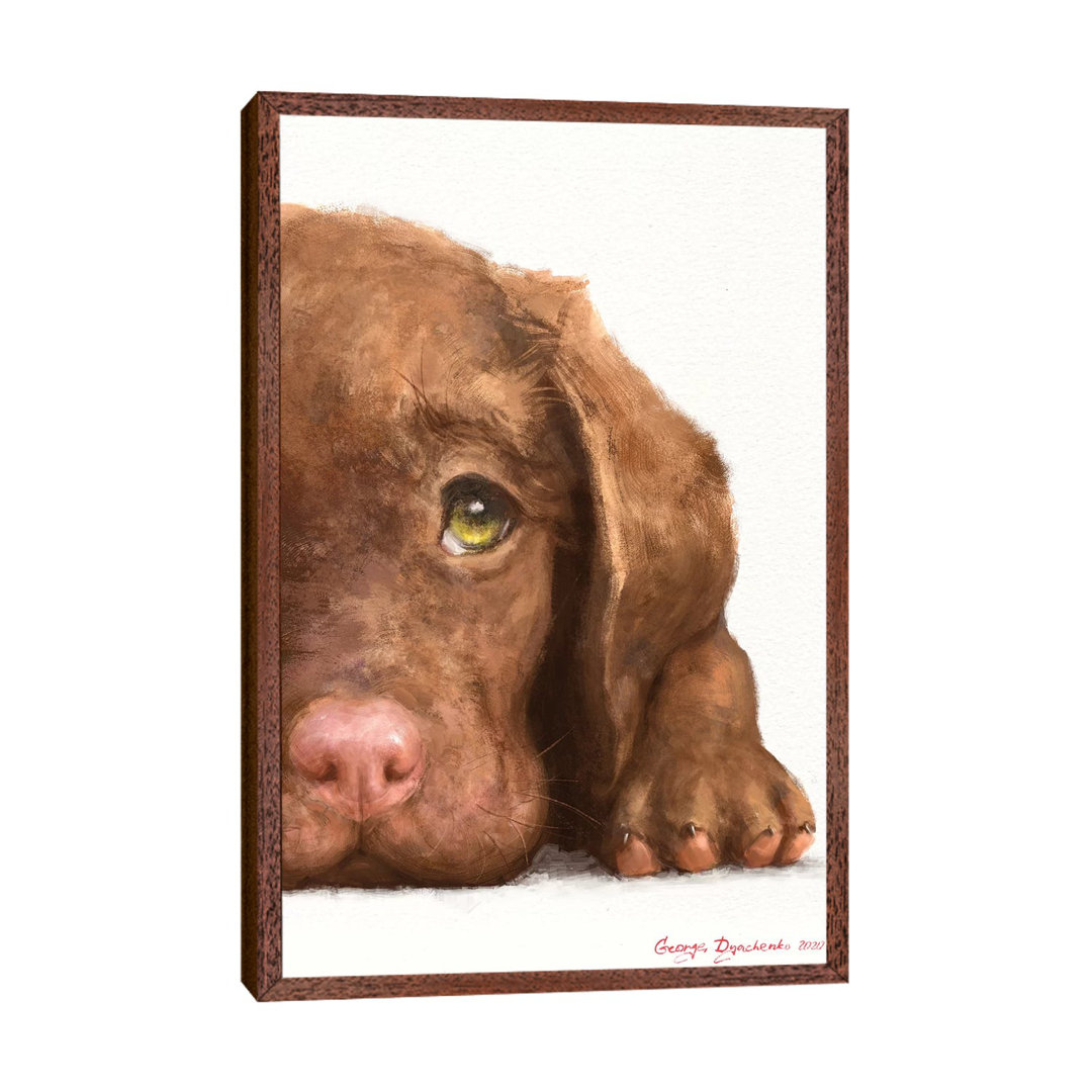 Chocolate Labrador Puppy by George Dyachenko - Painting on Canvas