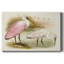 Roseat Spoonbills I - impression sur toile tendue-1414261991