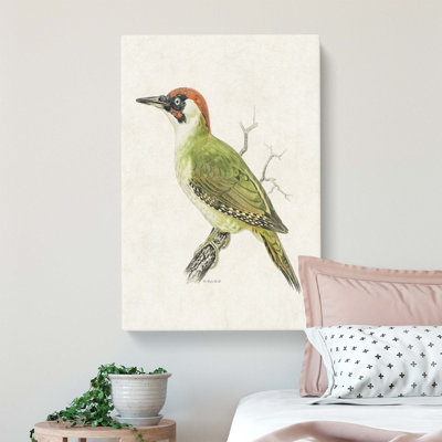 European Green Woodpecker by Von Wright - Wrapped Canvas