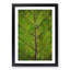 Leaf Lines - Framed Print-56852663-56852667