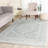 Olius Performance Oriental Rug-1719964876