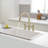 VIBRANTBATH Pull Down Kitchen Faucet-93524881