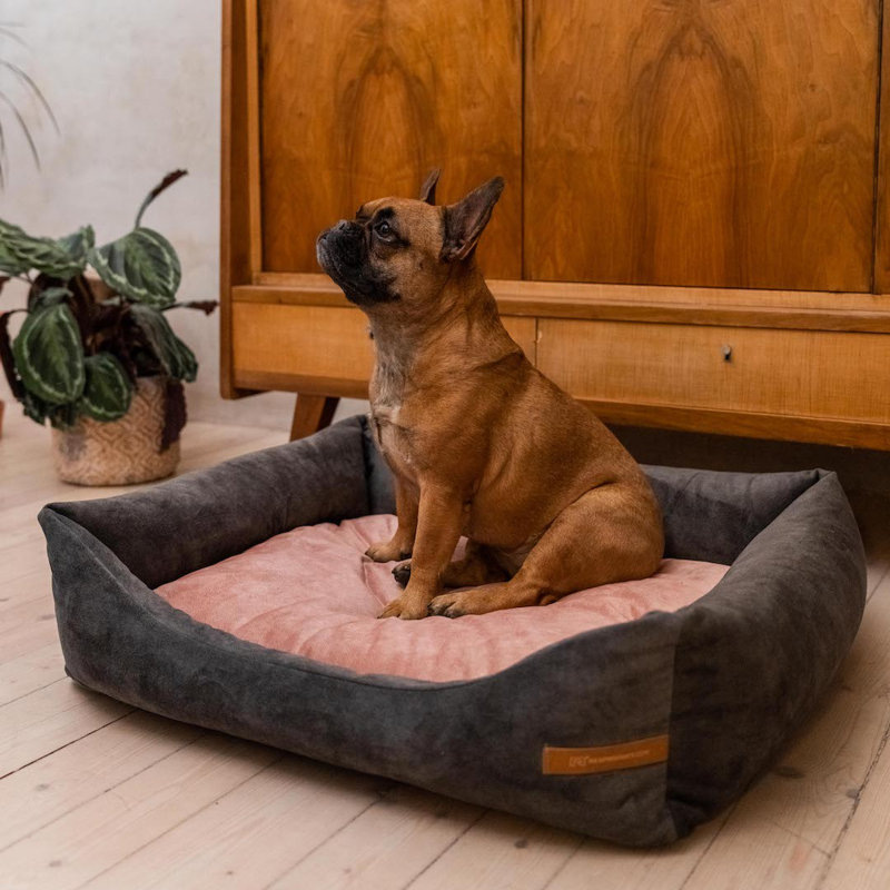 Orthopedic Polyester Pet Bed, 15cm H x 75cm W x 85cm D, Graphite/Pink