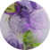 Premium Machine Washable Cerrito AMF513 Purple Rug