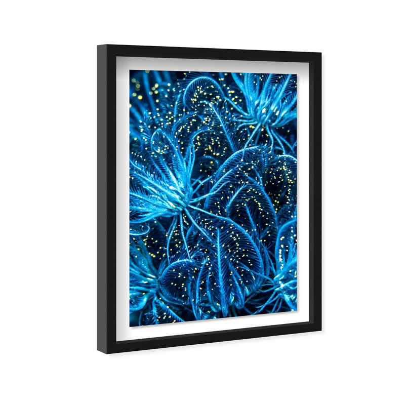 Neon garden Shadowbox Abstract Print by Oliver Gal, Black Frame, 10 x 15, 25.5"H x 17.5"W, Black Shadowbox