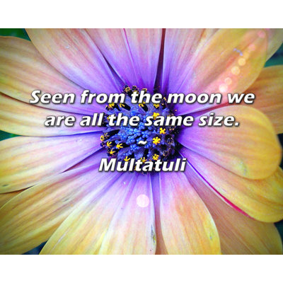 Artsy Quote "Seen from the moon we are all the same size." By Multatuli Gallery Wrapped Canvas