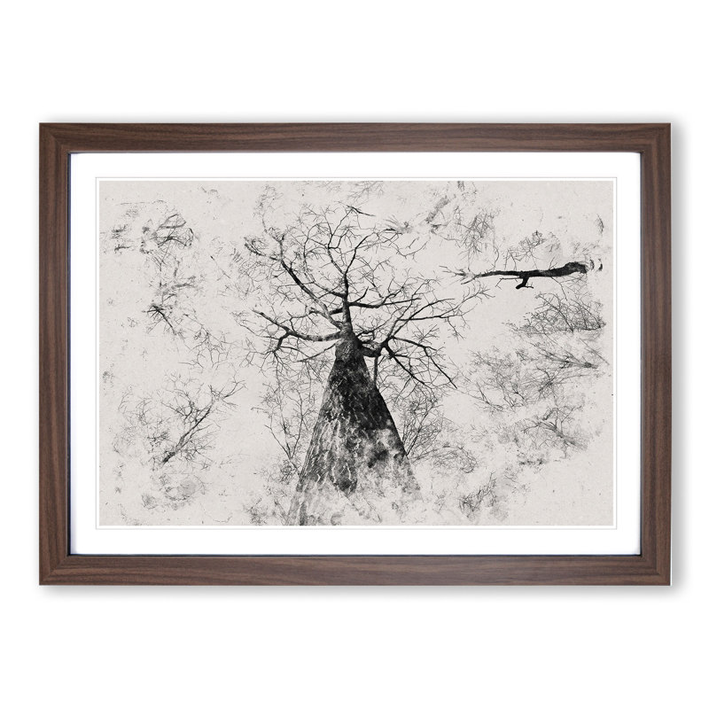 Below the Forest - Picture Frame Graphic Art, Walnut, 48cm H x 65cm W x 2cm D