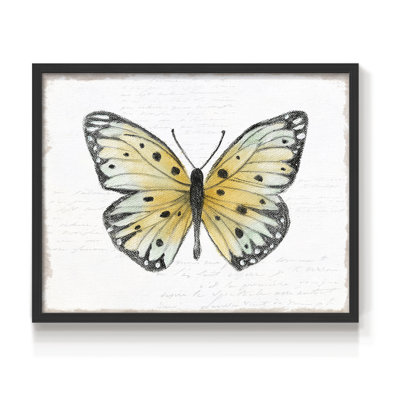 «Vintage Flutter I», reproduction encadrée