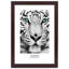 African Tigers - Single Picture Frame Print-576883949-576883946