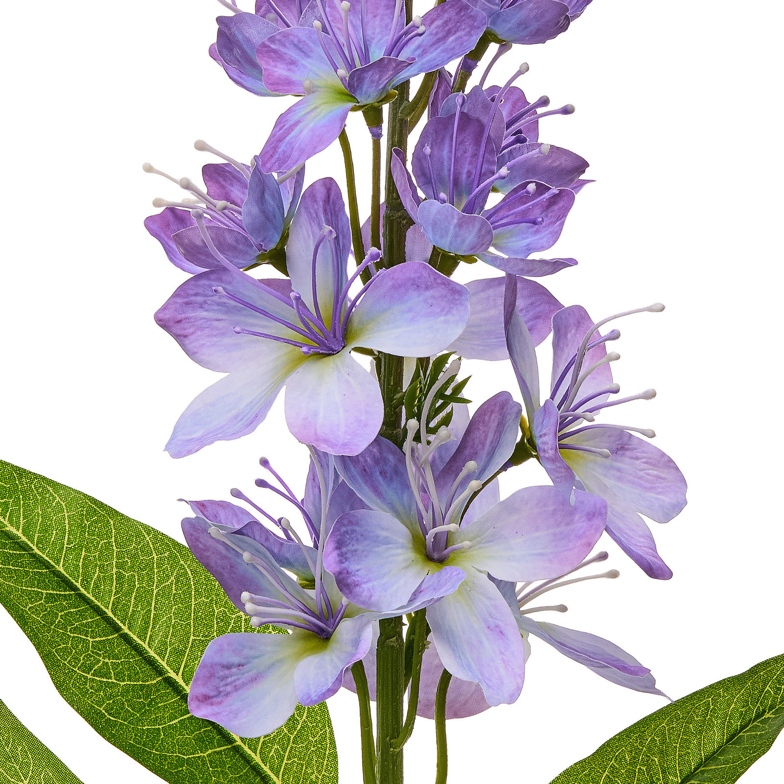Honey Blossom Stems, Purple