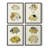 Fish I Framed Print - Set of 4-1499774026-1499774023