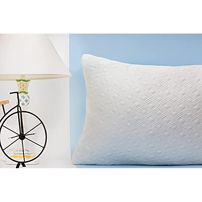 Akhavi Memory Foam Plush Support Pillow, Queen