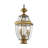 Arelene Lantern Head-1387936253-1387936128