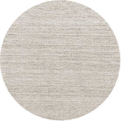 Oriental Indoor Rug
