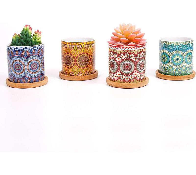 Ensemble de 4 pots à fleurs succulents en céramique de 3 po avec plateaux en bambou