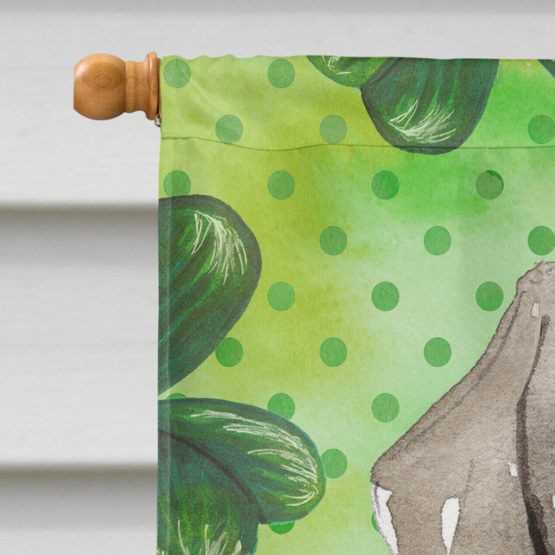 40 x 28 po en polyester à 2 côtés de la st patrick drapeau maison, Braque de Weimar brun
