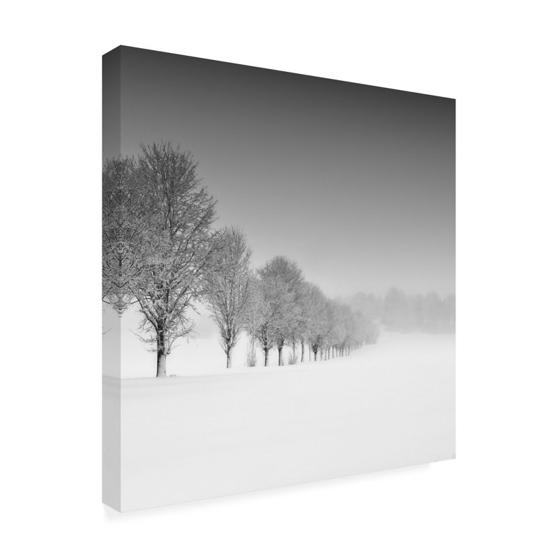 Contemporary, 24" W x 24" H