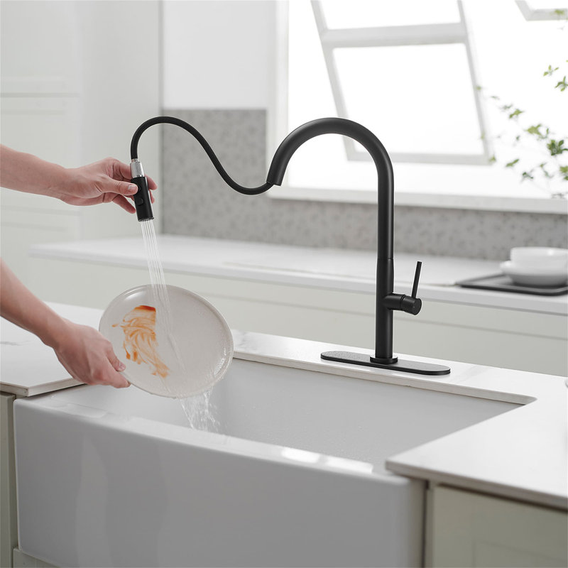 Robinet de cuisine à un trou avec douchette extractible et robinets d'évier de cuisine à poignée simple, Noir mat