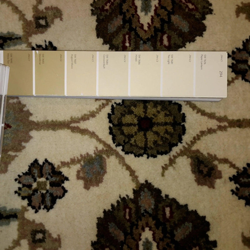 Tapis beige en coton / laine oriental fait à la main 2 pi 7 po x 10 pi 1 po Oriental