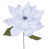 Blanc lait