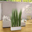 Faux Onion Grass in Solid Wood Planter